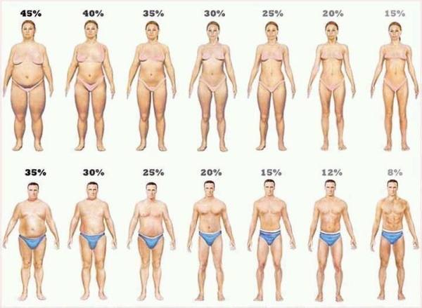 https://www.integrityfit.com/zupload/user%2Fcartoon_women_and_men_visual_body_fat.jpg